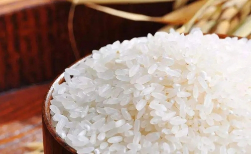 黄花粘水稻种植方法及与普通大米的区别