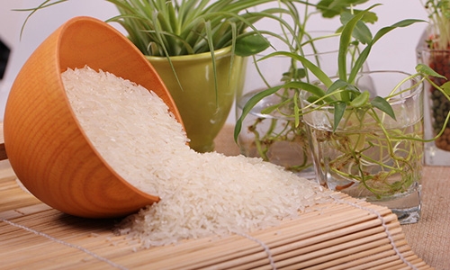 掌握​有机大米的种植条件