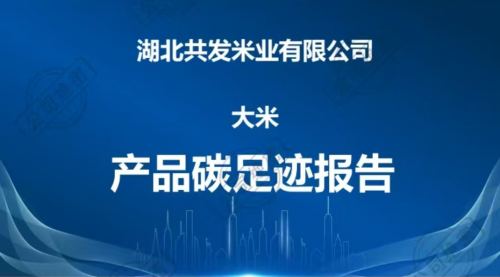 碳足迹报告
