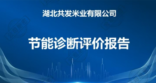 湖北共发米业有限公司节能诊断报告